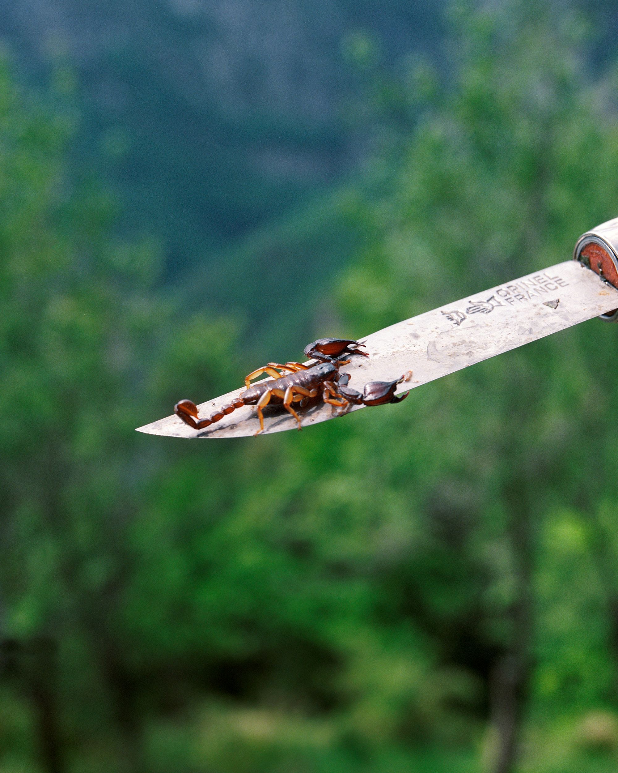 REVUE MAISON - CASOUN_0