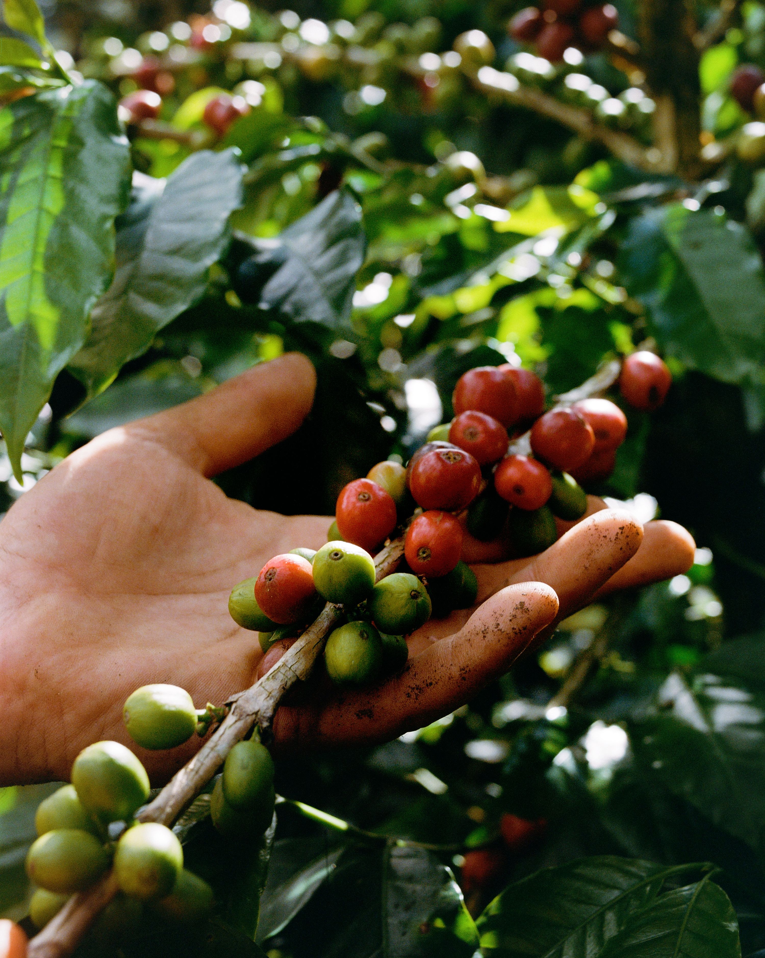 NESPRESSO X LE FOODING_0