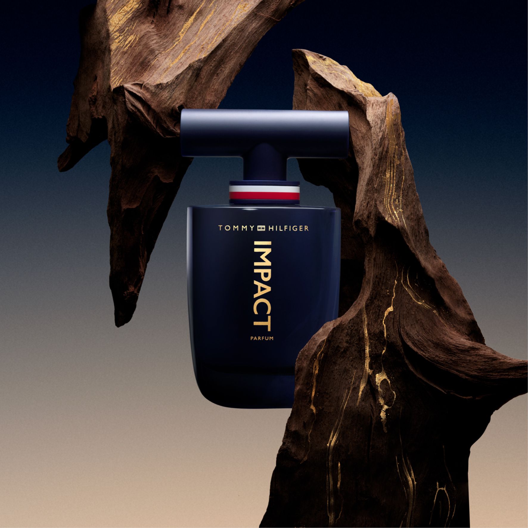 TOMMY HILFIGER - IMPACT_0